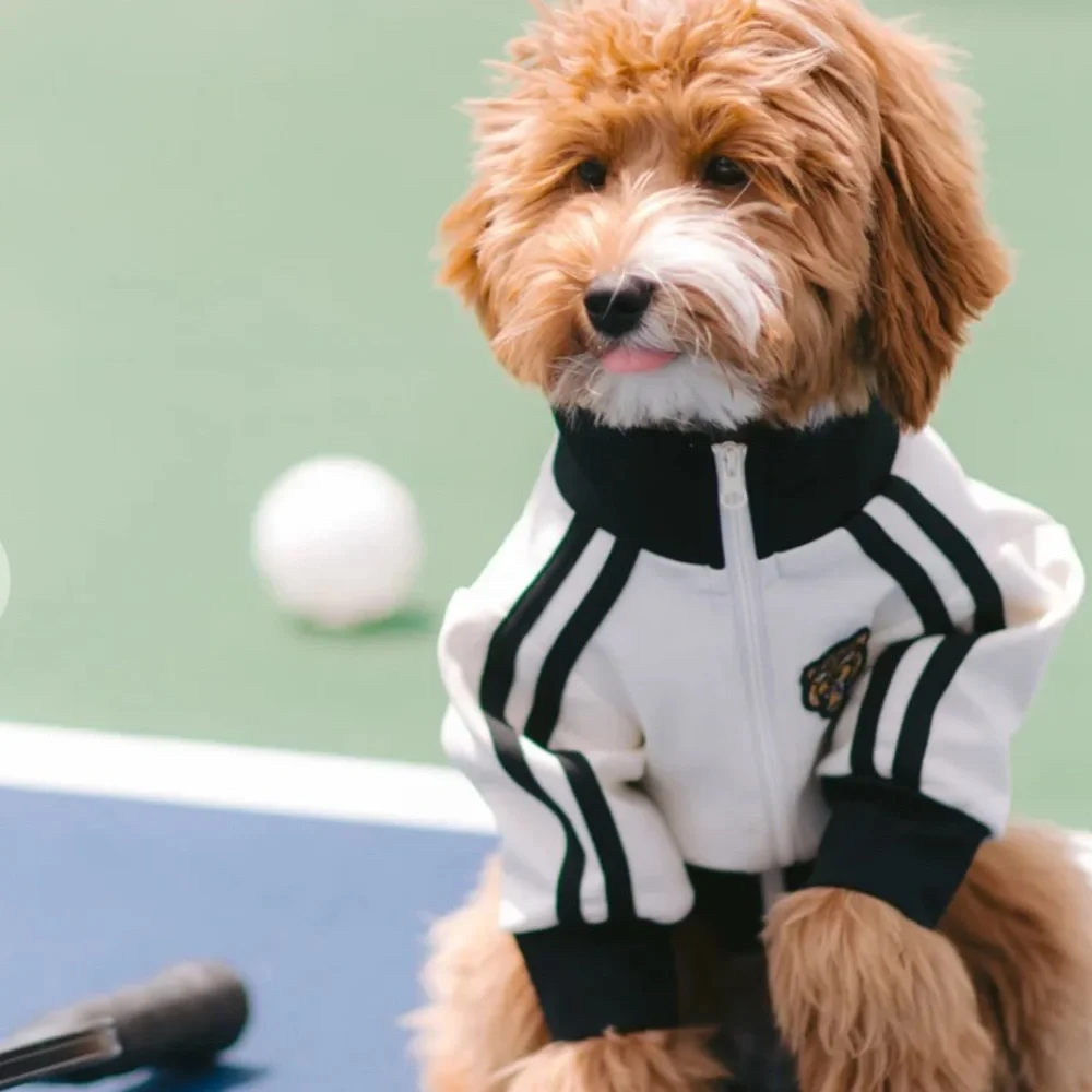 Free People xFURB Stylish Black and White Dog Jacket Size Small New